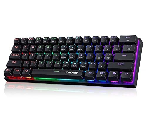 Portable 60% Mechanical Gaming Keyboard,60 Percent Wired Gamer Keyboard with Blue Switches,LED Customization Backlit,61 Keys Ultra-Compact Mini Office Keyboard for PC/Mac Gamer,Easy to Carry On Trip