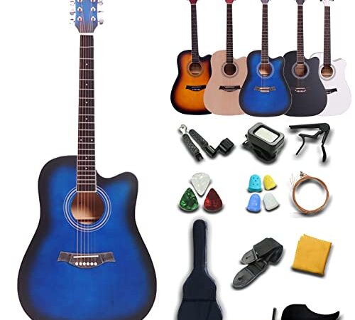 Rosefinch Acoustic Guitar 4/4 Full Size for Beginners Adult 41 inch Guitare Acoustique Adulte Folk Guitar Kit W/Bag Picks Capo Strap 6 Steel Strings(41"Blue)