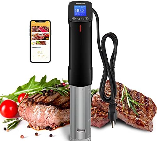Inkbird WiFi Sous Vide Cookers, 1000 Watts Stainless Steel Precise Cooker, Thermal Immersion Circulator with Recipe, Digital Interface, Temperature and Timer for Kitchen, ISV-100W