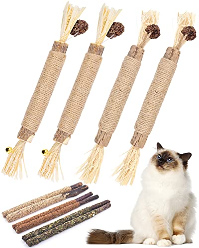 Best cat toys in 2022 [Based on 50 expert reviews]