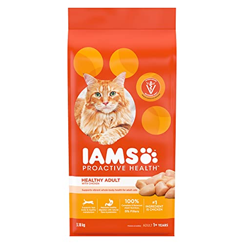 Best cat food in 2022 [Based on 50 expert reviews]