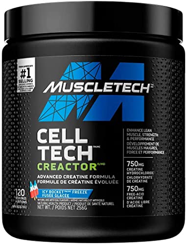 Best creatine in 2022 [Based on 50 expert reviews]