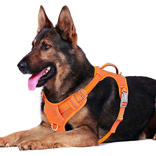 Best dog harness in 2022 [Based on 50 expert reviews]