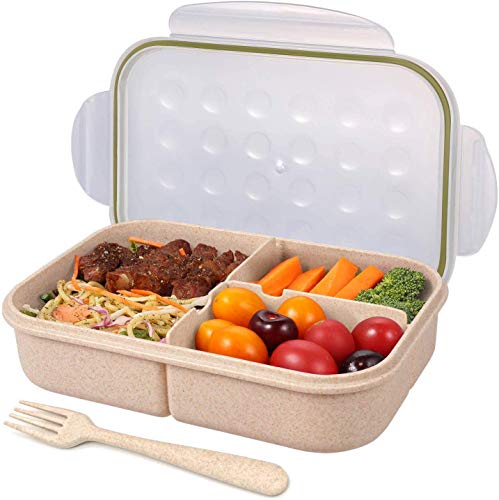 Best lunch box in 2022 [Based on 50 expert reviews]