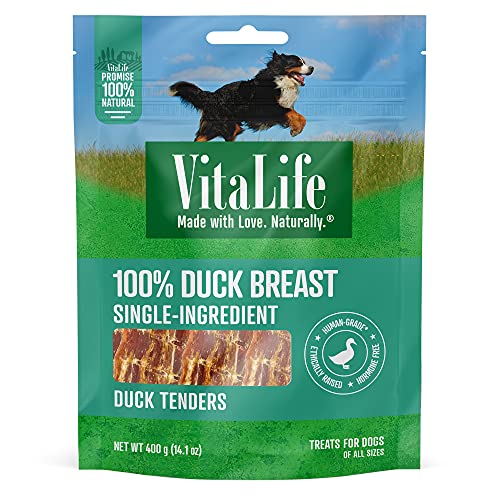 Best dog treats in 2022 [Based on 50 expert reviews]