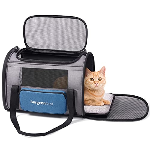 Best cat carrier in 2024 [Based on 50 expert reviews]