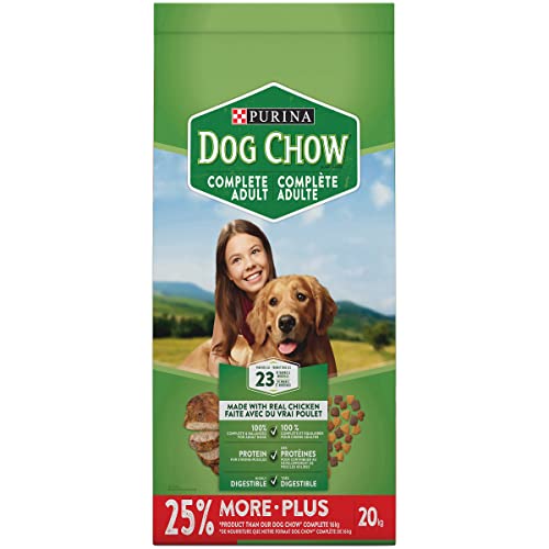 Best dog food in 2024 [Based on 50 expert reviews]