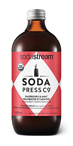 Best soda stream in 2024 [Based on 50 expert reviews]