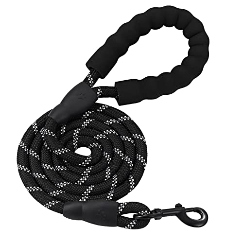 Best dog leash in 2024 [Based on 50 expert reviews]
