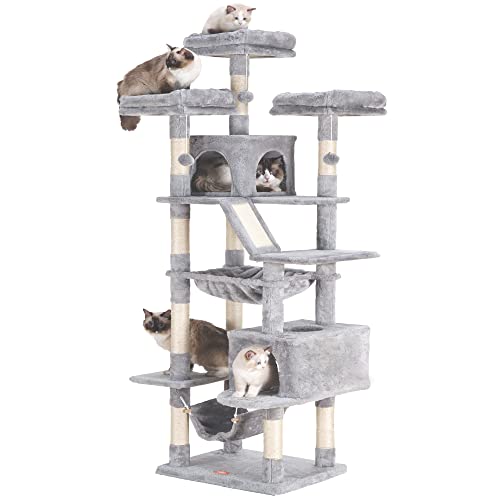 Best cat tree in 2023 [Based on 50 expert reviews]