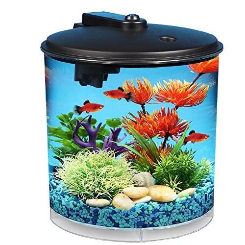 Best aquarium in 2024 [Based on 50 expert reviews]