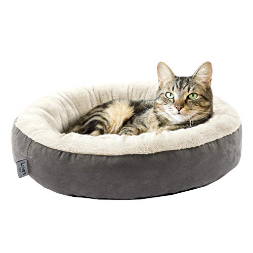 Best cat bed in 2023 [Based on 50 expert reviews]