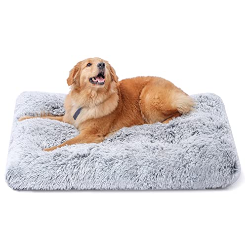 Best dog bed in 2024 [Based on 50 expert reviews]