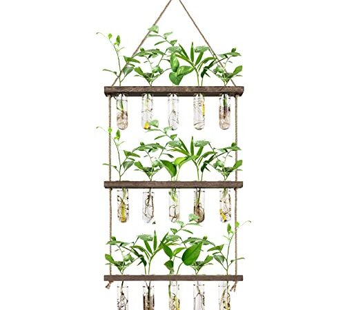 XXXFLOWER Wall Hanging Propagation Station with Wooden Stand 5 Glass Test Tubes 3 Tiered Planters Wall Terrarium for Home Office Plant Hanger Flower Vases Wall Decor Hydroponic Cuttings