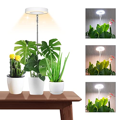 Best grow lights for indoor plants in 2024 [Based on 50 expert reviews]