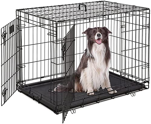 Best dog crate in 2023 [Based on 50 expert reviews]